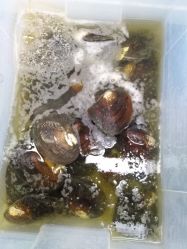 -邵老师打金·黄金加工(大望路总店)