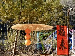 -龙湾潭国家森林公园