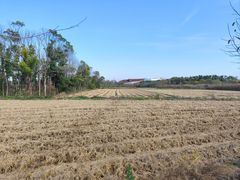 -广富林郊野公园