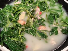 鸽汤桑叶-羽鸽集·乳鸽专门店·地道顺德菜(岭南站店)