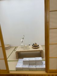 -POCO宝珂丽科技美肤