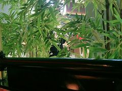 -蛙小侠(合浦万达店)