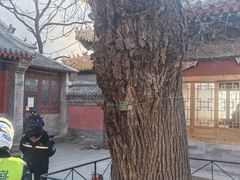 -贤良祠