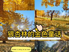 -森林公园(尖草坪区)