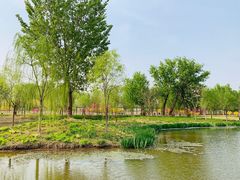 -东郊湿地公园