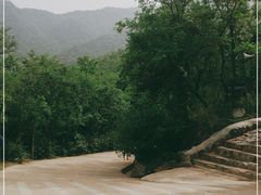 -阳台山自然风景区