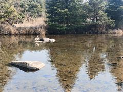 -白马涧龙池景区
