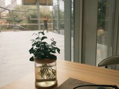 -木嘛working coffee&bar(碧道馆店)
