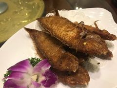 -金穗园·砂锅粥.醉鸡煲火锅(长寿路店)