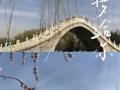 -颐和园