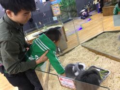 -未来动物城主题公园(正弘城店)