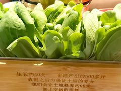 -卢大鲜鱼头捞饭(美利广场店)