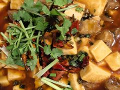 豆花牛肉-天回镇何氏豆腐(总店)