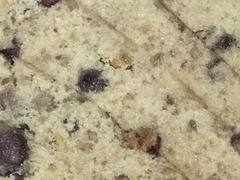 -杨招娣糕点(装驾桥巷店)