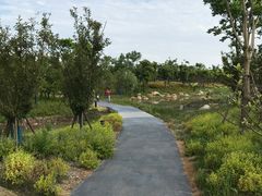 -春花秋色城市公园