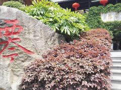 -藏龙百瀑风景区