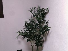 -奈诺甜品·生日蛋糕·下午茶(古城店)