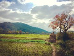 -塔川景区