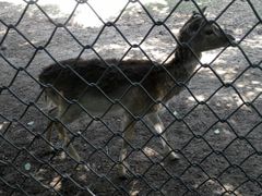 -西安秦岭野生动物园