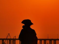 -宝安西湾红树林湿地公园