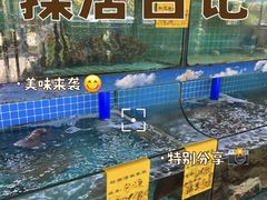 -坛南湾阿强农家乐.海鲜大排档老字号(福州地标美食店)