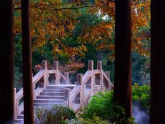 -上海醉白池公园