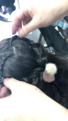 点击看大图 -丝语萱形象