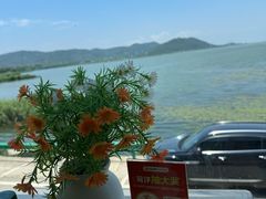 -湖山人家·湖景餐厅·特色农家菜(太湖西山店)
