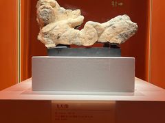 -隋唐大运河文化博物馆