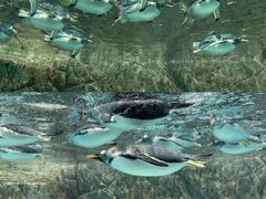 -成都浩海立方海洋公园