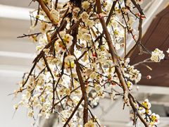 -梅花境(万科店)