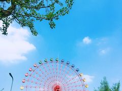 -成都南湖公园