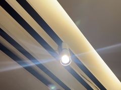-一记洛阳菜·糖醋小排·水席(十字街店)