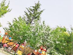 -羊亭河湿地公园