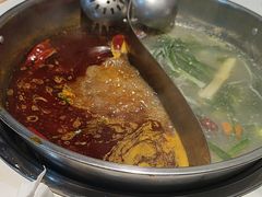 -杨校长·老成都串串香火锅(全国总店)