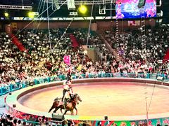 -俄罗斯国家大马戏团