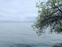 -抚仙湖禄充风景区