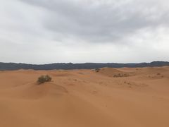 景点-沙坡头旅游度假区
