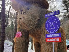 -洛阳白云山景区
