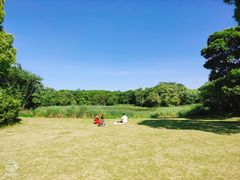 -长广溪湿地公园