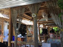 -Jungle Kitchen