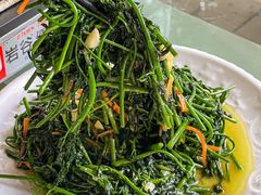 -兴隆槟榔园休闲农庄