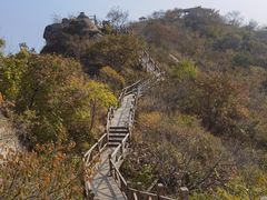 -大岭沟猕猴桃谷风景区