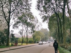 -西南交通大学(九里校区)