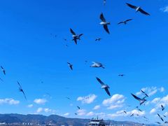 -海埂大坝