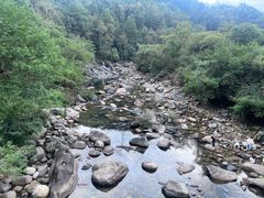 -石台牯牛降景区