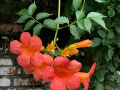 -杭州西湖风景名胜区-满觉陇四眼井