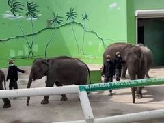 -大连森林动物园