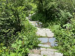 -康定跑马山风景区