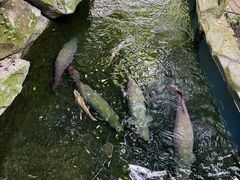 -青青世界